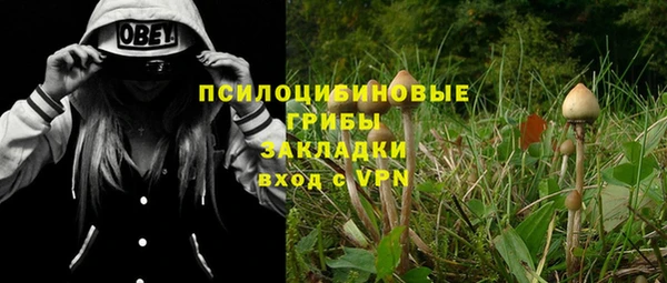 ECSTASY Алексин