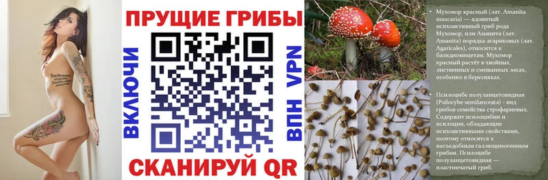 гидра ссылки Калининград Галлюциногенные грибы мухоморы