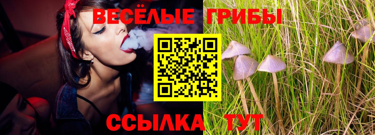 Калининград  Галлюциногенные грибы MAGIC MUSHROOMS  Галлюциногенные грибы Cubensis  Вход с VPN 
