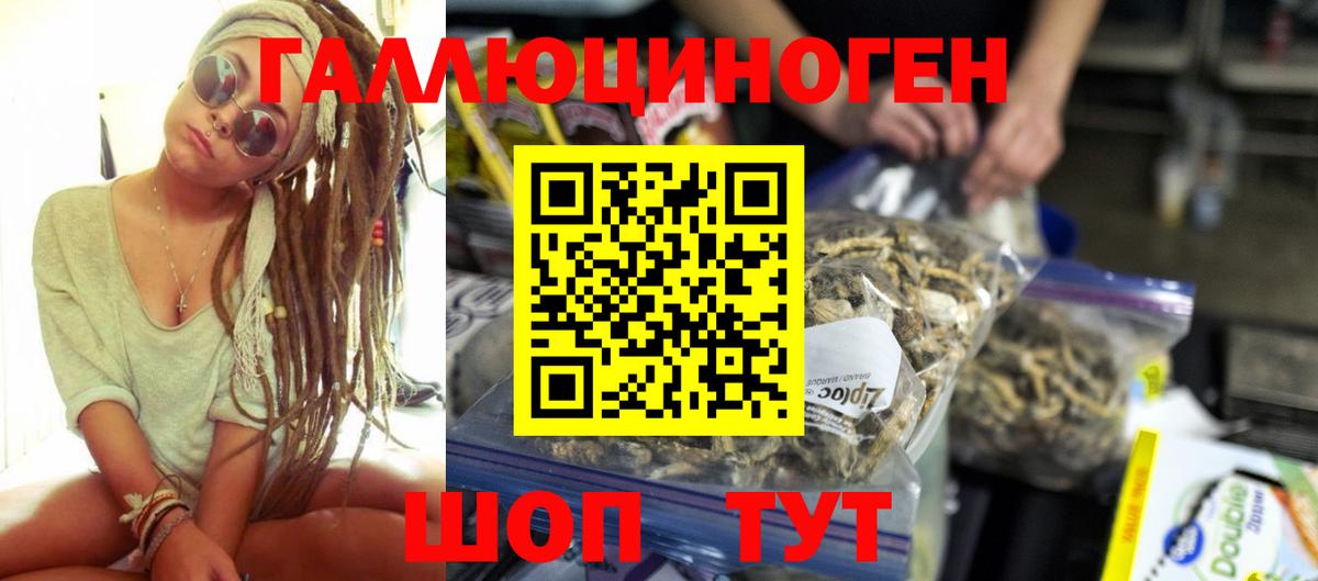 Галлюциногенные грибы мухоморы Калининград
